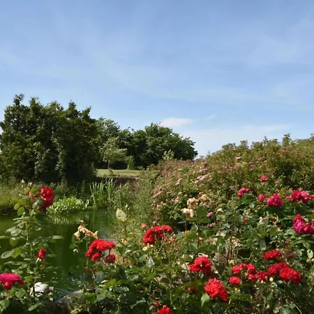 Cosy In With Garden Holiday home